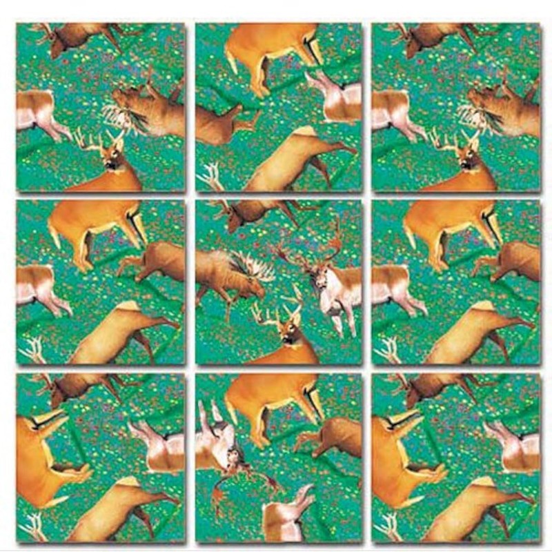 Scramble Squares Deer 9 Piece Challenging Puzzle - Ultimate Brain