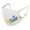 Design 020964 Ukraine Mask, Set of 2, Polyester, Washable, Cloth