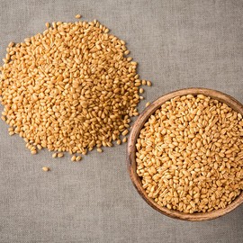 수입산 볶은 귀리 600g Imported Roasted Oats 600g