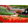 Tapix Bird Blinder Pinwheels (10 Pack) 15 inch Pinwheel Bird