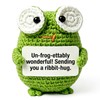 HAIDWEN Crochet Frog, Cute Frog Gifts for Friends, Office Desk