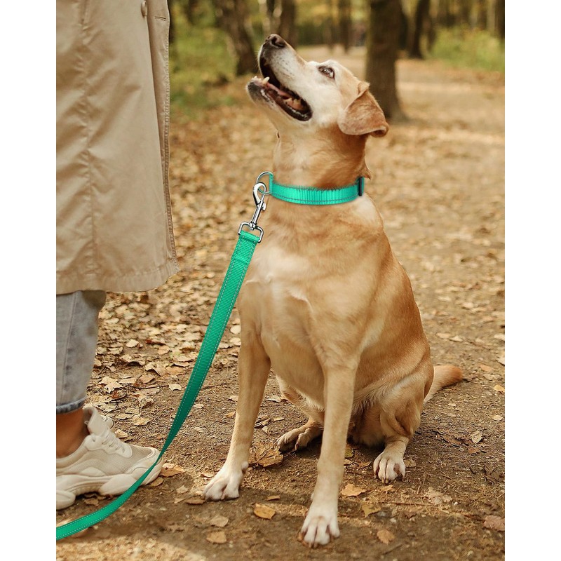 TagME Reflective Nylon Dog Collars, Adjustable Classic Pet Collar with