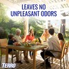 TERRO T1901-6 Ready to Use Indoor and Outdoor Carpenter Ant,