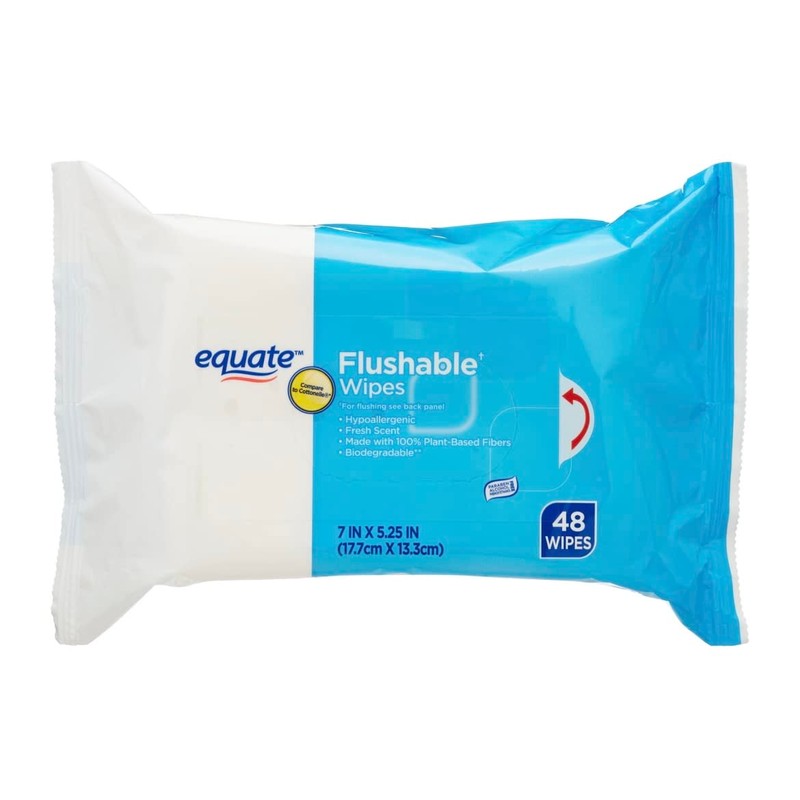 Equate Flushable Wipes, Fresh Scent, 240 Ct