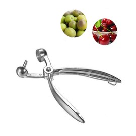 KGDUYC 1 x Apple Corer, Pomegranate Corer, Cherry Pitter, Olive Stone Remover Made of Aluminium Alloy, Hand Removal Tool, Kitchen Appliances for Plums, Cherries, Carrots