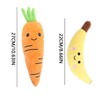 DragonX2 Hundespielzeug Unzerstörbar,Karotte Hundespielzeug, Banane Hundespielzeug, Quietschend Hundespielzeug, Interaktives Spiel