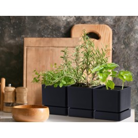 D'vine Dev 4 Inch Herb Planter Pot, Plastic Planter with Drainage Holes and Saucer, Modern Decorative Gardening Pot for Indoor Plants, Flowers, Herbs, Succulents, Black, Set of 3, 76-Y-B-3