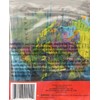 Transparent Inflatable Globe - 11.5 inches