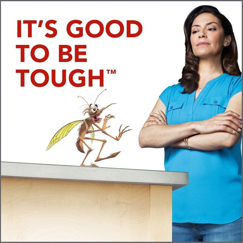 Raid Flying Insect Killer, 15 Ounce (Pack of 6)