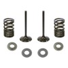 Outlaw Racing OR5264-Ek Exhaust Valve and Stainless Steel Spring Kit