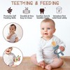 WAJIAYON Baby Breastmilk Popsicle Molds & Baby Fruit Feeder (2
