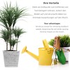 ECENCE Stainless Steel Weeder with Wooden Handle, Manual Weeder for