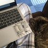 2 Pack Mac OS Shortcuts Stickers | Mac Keyboard Stickers
