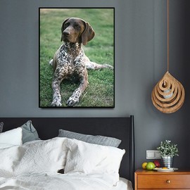 QAZWSX German Shorthaired Pointer Dog Diamond Painting by Number Kits, Dog Puppy DIY 5D Full Round Drill Embroidery Cross Stitch for Adults for Home Decor 12X16 inch