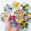 16 Cavity Set of 1.25'' 1.5'' Shiny Flat Circle Silicone