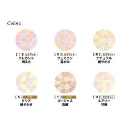 Elegance La Poodle Auto Nuance Face Powder Set (II Feminine Warm))