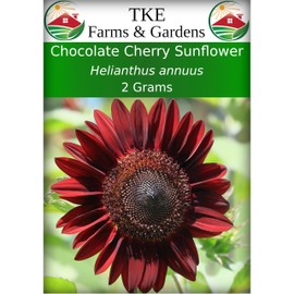 TKE Farms & Gardens - Chocolate Cherry Sunflower Flower Seeds for Planting, 50+ Flower Seeds, Non-GMO, Heirloom, Perfect for Your Flower Garden, Rare Flower Seeds, Instructions Included