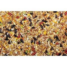 DelightFood Chicken Feed, Whole Ingredient Chicken Treat, Wied Variety of Grains Poultry Feed (10 Pound (Pack of 1), Singer Mix with Cracked Corn)