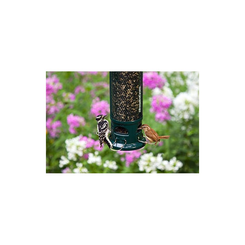 Brome Squirrel Buster Legacy Squirrel-proof Bird Feeder w/4 Metal Perches,