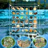 Dekori Shell Display Box Transparent Magnetic Mini Shell Box Waterproof