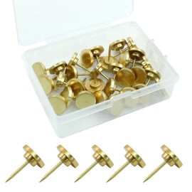 Hitefu 30 Pieces Metal Push Pins, Decorative Gold Thumb Tacks for Picture Photo Hanging, Wall Pins for Bulletin Board Office Home Use