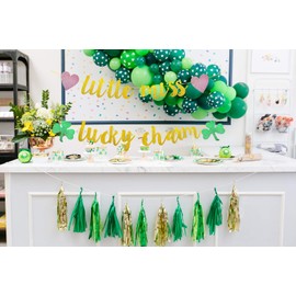 Weimaro Little Miss Lucky Charm Banner, Baby Girl St. Patrick’s Day Birthday Party Decorations, Girl St Patricks Day Irish Birthday Party Decorations Supplies, St Patty’s Day Party Decor