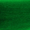 Stargazer Semi-Permanent Hair Colour Dye x 2 Packs Tropical Green