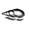 Decorative Single KNOB Snail Cabinet/Drawer KNOB KN220AS
