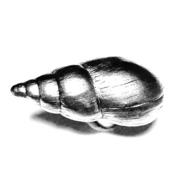 Decorative Single KNOB Snail Cabinet/Drawer KNOB KN220AS