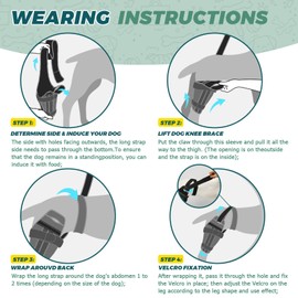 Dog Knee Brace for Torn Acl Hind Leg – Adjustable Support Brace with 2 Stabilizer Support to Reduces Pain, Ligament Injuries & Luxating Patella for Small Medium Large Dogs (Left Leg, M)