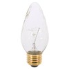 Satco S3363 120V Medium Base 25-Watt F15 Light Bulb, Clear