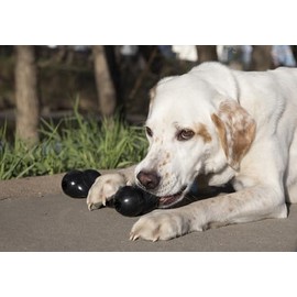 Kong Extreme Goodie Bone, Color Negro, Grande