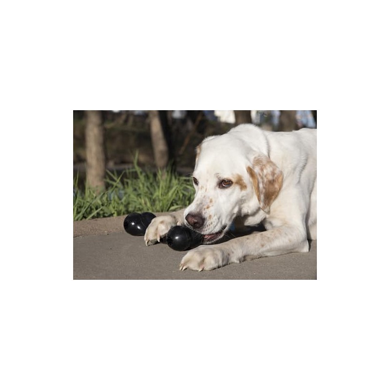 Kong Extreme Goodie Bone, Color Negro, Grande