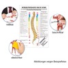 Bolt Mini poster Therapy Medical Educational Anatomy 34x24 cm mittel