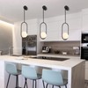 SeeU Modern Pendant Lighting One Light Chandelier Globe Black Pendant