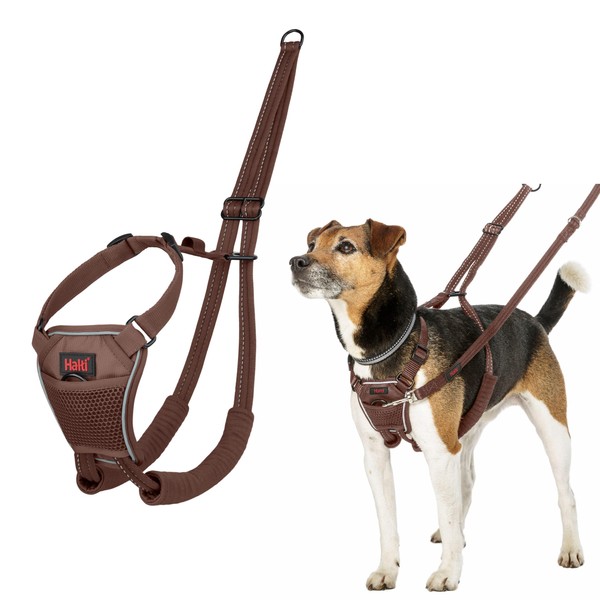 HALTI No Pull Harness - to Stop Your Dog Pulling