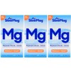  Slow Mag Magnesium Chloride with Calcium, 60 Tablets each