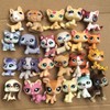 Mini Shop Pet Random for lps Figure Toys- Rare and