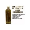 Shampoo Artesanal Anticaída Crecimiento Con Romero Rapunzel