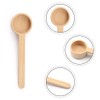 Luckious Long Handle Wooden Coffee Spoon - Coffee and Tea