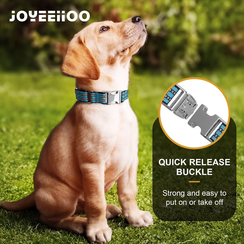 JOYEEIIOO Martingale Collar for Dogs, Reflective, Metal Buckle,Blue,M