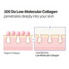 SUNGBOON EDITOR [SUNGBOON EDITOR]*renewal* Deep Collagen Power Boosting Cream In