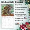 RED EMBER Koalas 2025 Wall Calendar 12 Month | 12"