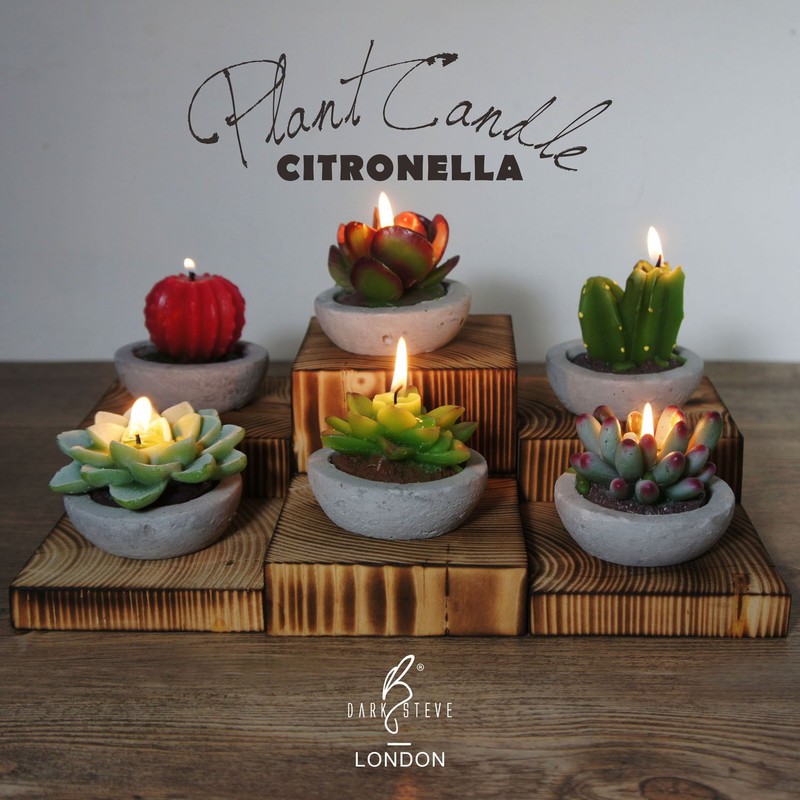 DarkSteve Decorative Citronella Plant Candle Collection - 6 pcs |