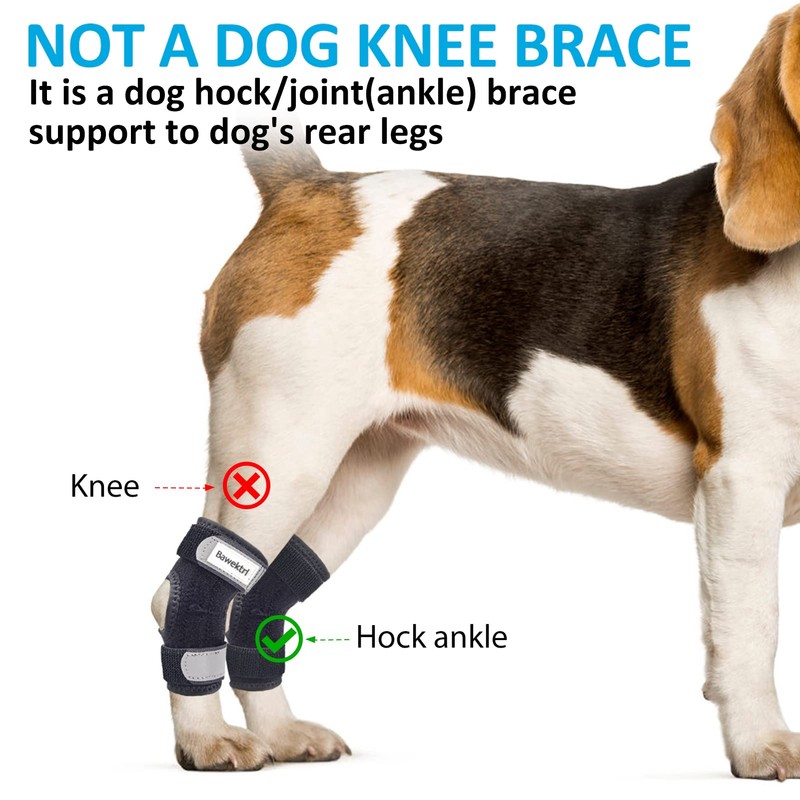 Dog Leg Braces for Rear Legs, Hock Brace for Back