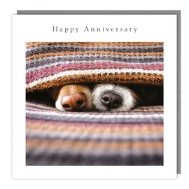 Anniversary Card - Happy Anniversary - Dog Noses and Blanket - Photographic Design - Made in the UK - Eco-Friendly