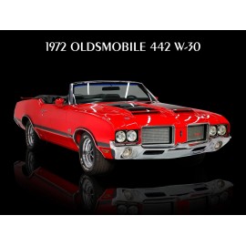 1972 Oldsmobile 442 W-30 NEW METAL SIGN: Original Look in Red & Black
