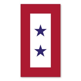 Blue Star Service Flag (2 Star) Magnet by Magnet America Is 5.5" x 3" Made for Vehicles and Refrigerators