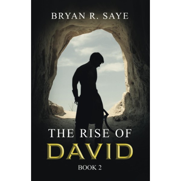 The Rise of David: Book 2