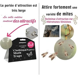 Générique Mottenfalle Double Action: Lebensmittel und Kleidung – 5 Monate x Mottenfalle – Effektive Mottenfalle zur Erkennung von Lebensmittel- und Textilbefall (Kleidung)